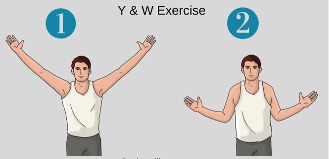 ورزش های کمربند شانه ای -حرکت W و حرکت Y